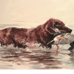 Chessie - Oil