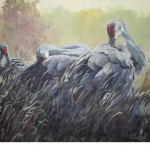 Sandhill Cranes - Acrylic