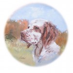 English Setter - Acrylic